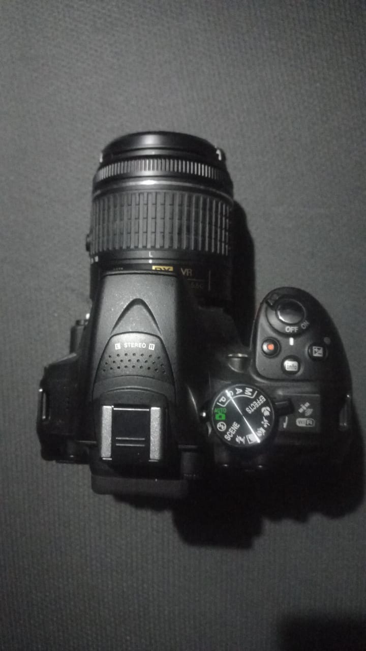 Nikon Digital Camera